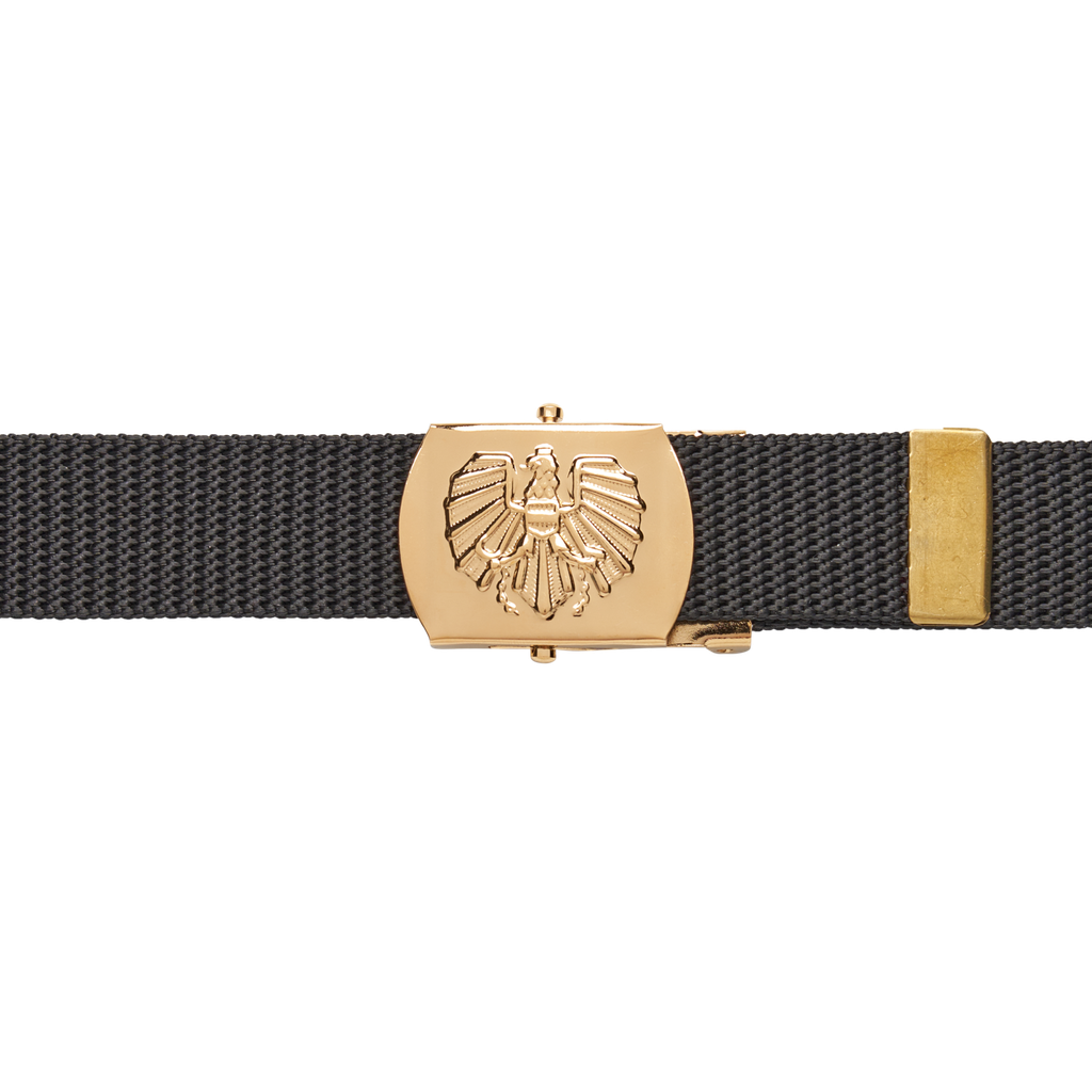 106666--FRI---Textilguertel-schwarz-mit-Schnalle-GOLD.png