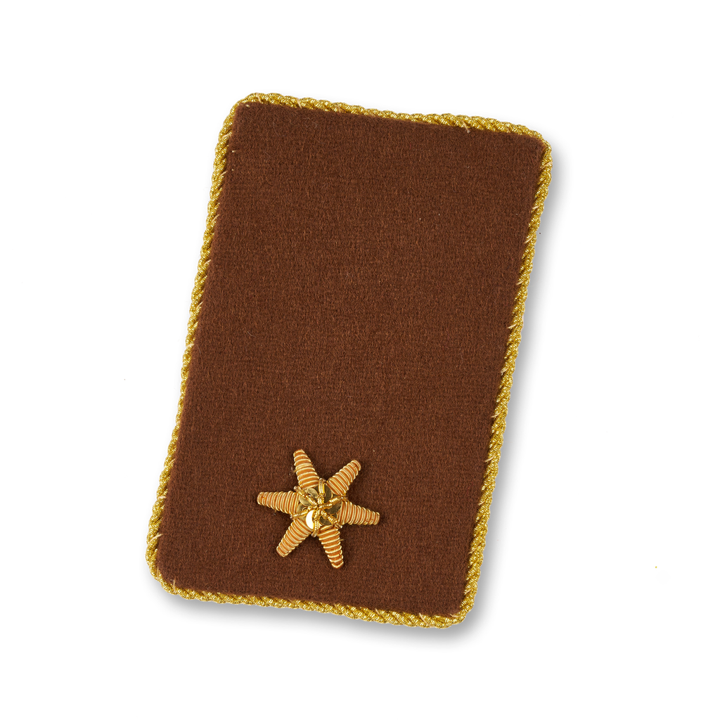 Patte de col BI marron (STM) Bl de service spécial (OÖ)