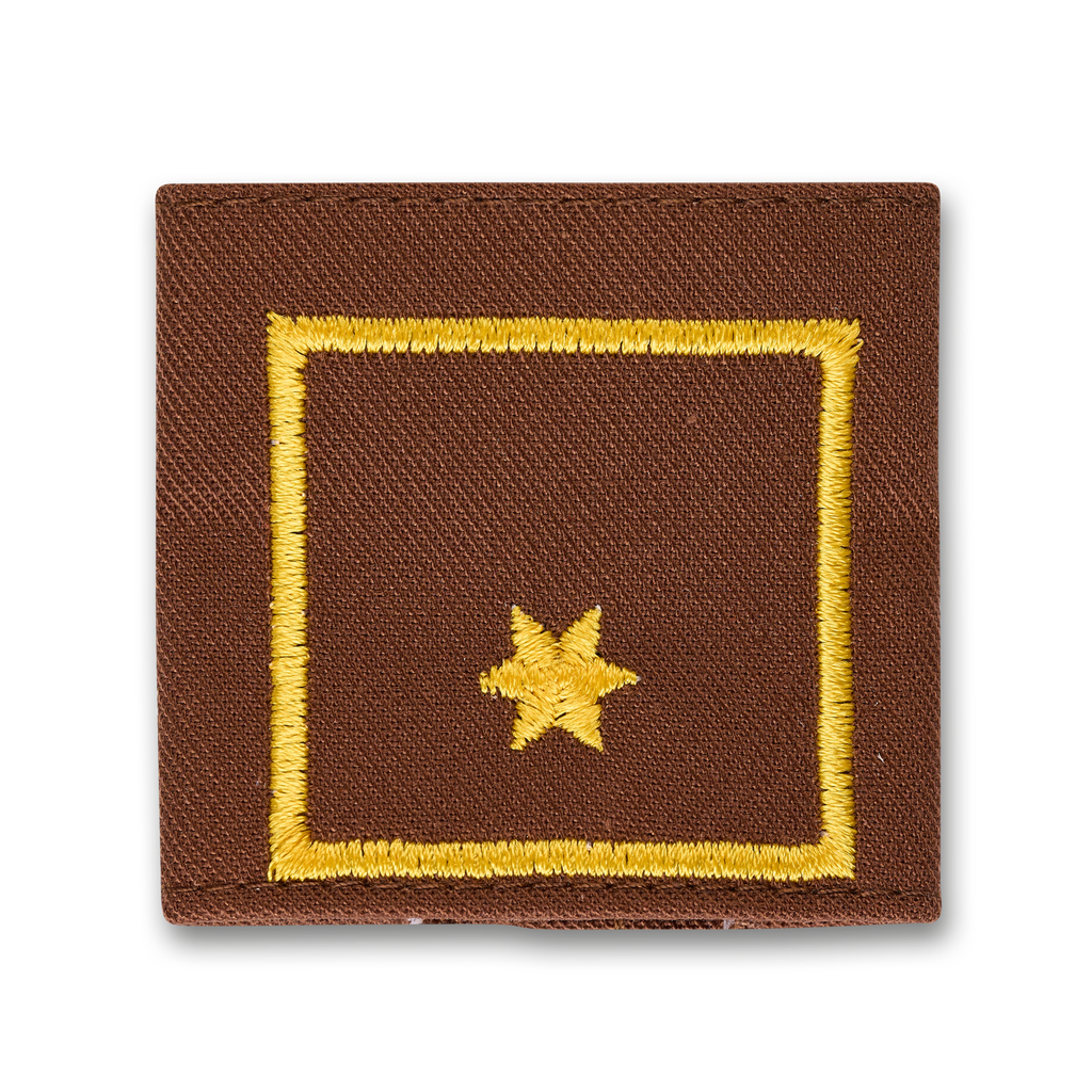 Uniform epaulets BI brown  (STM) BI d. Fachdienst (OÖ)