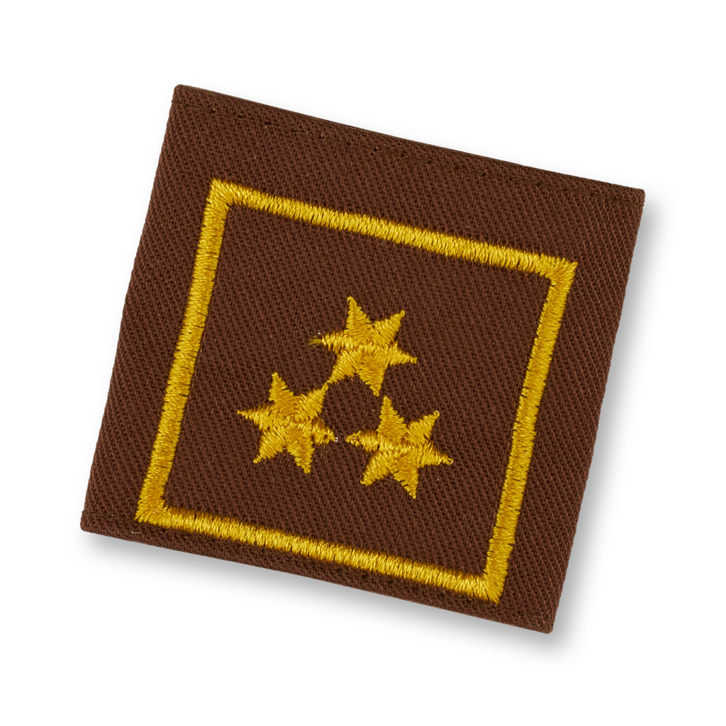 Uniform epaulets HBI brown  (STM) FBI d. Fachdienst (OÖ)