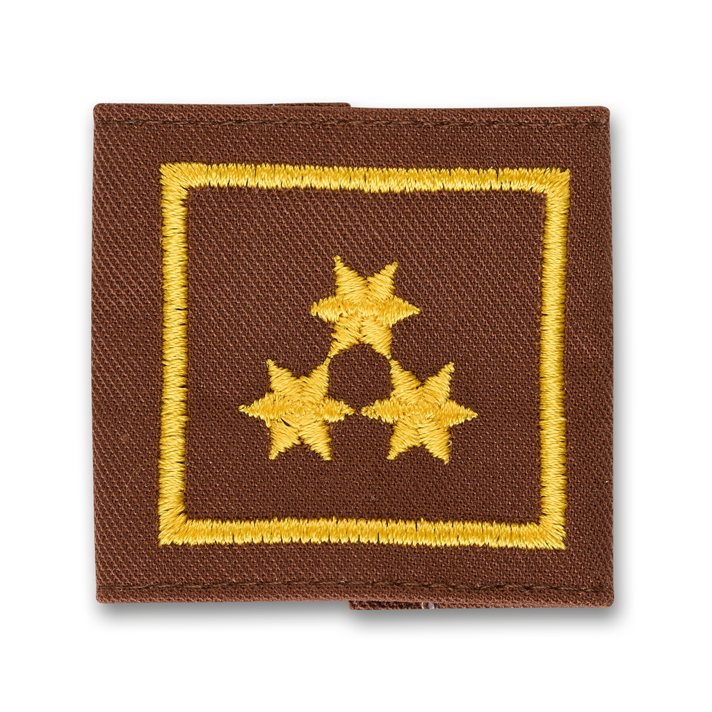 Uniform epaulets HBI brown  (STM) FBI d. Fachdienst (OÖ)