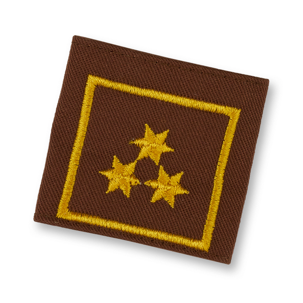 Uniform epaulets HBI brown  (STM) FBI d. Fachdienst (OÖ)