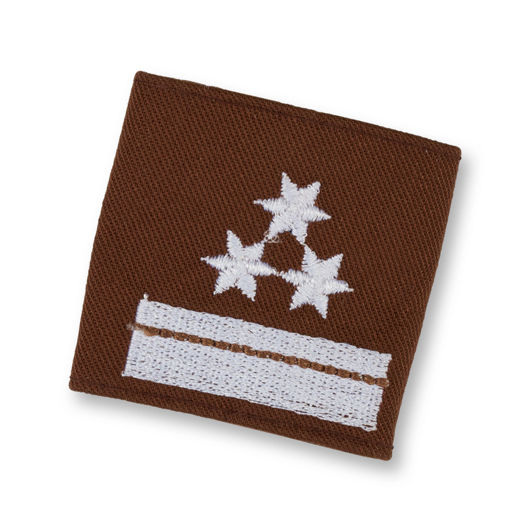 Uniform epaulets HBM brown  (STM) HBM d. Fachdienst (OÖ)