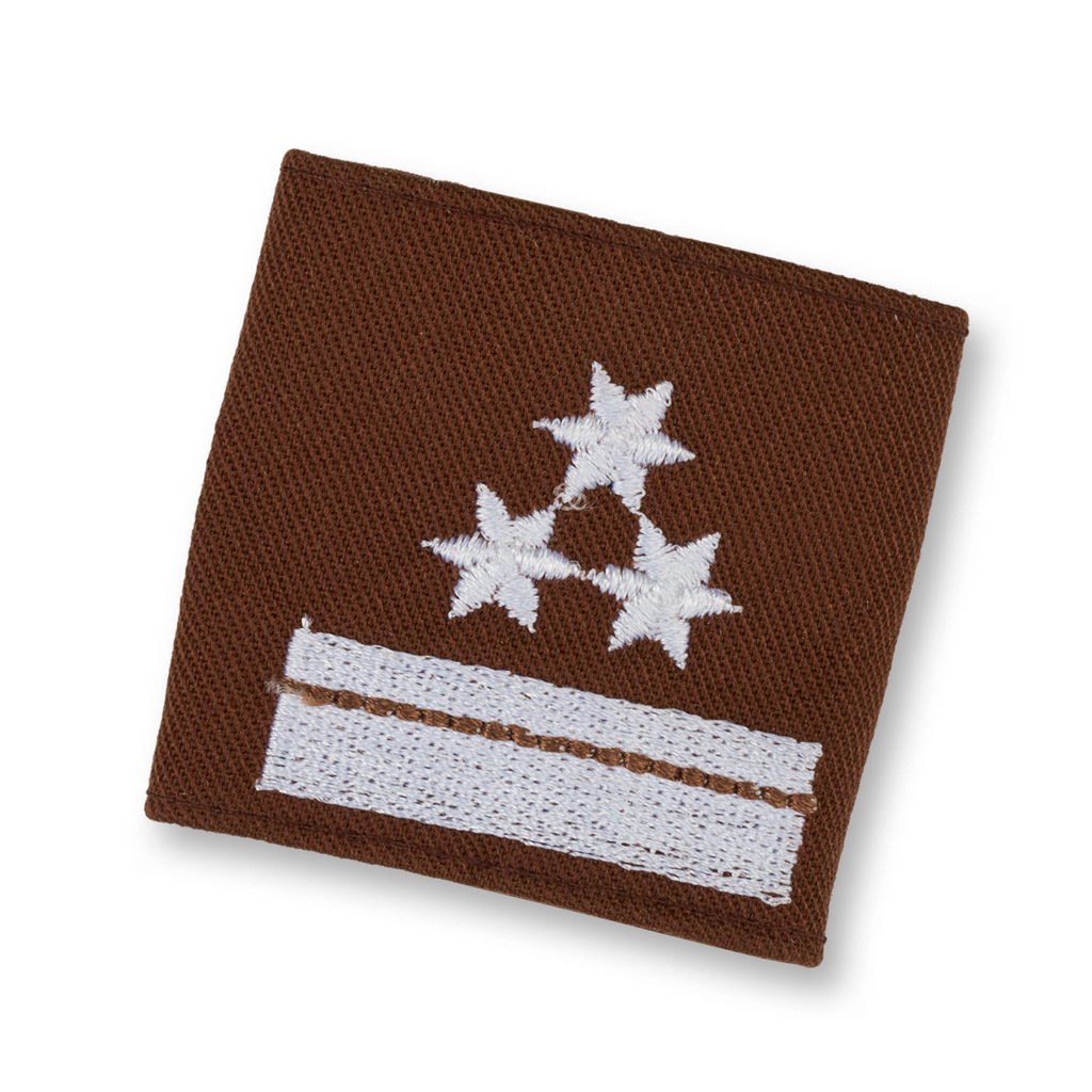 Uniform epaulets HBM brown  (STM) HBM d. Fachdienst (OÖ)