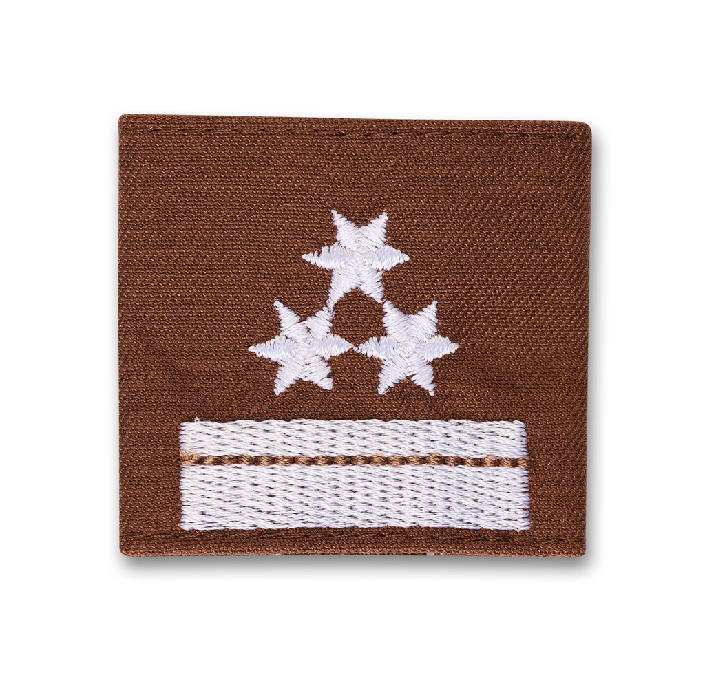Uniform epaulets HBM brown  (STM) HBM d. Fachdienst (OÖ)