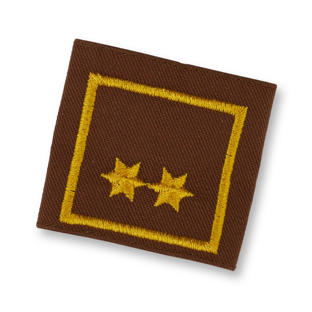 Uniform epaulets OBI brown  (STM) OBI d. Fachdienst (OÖ)