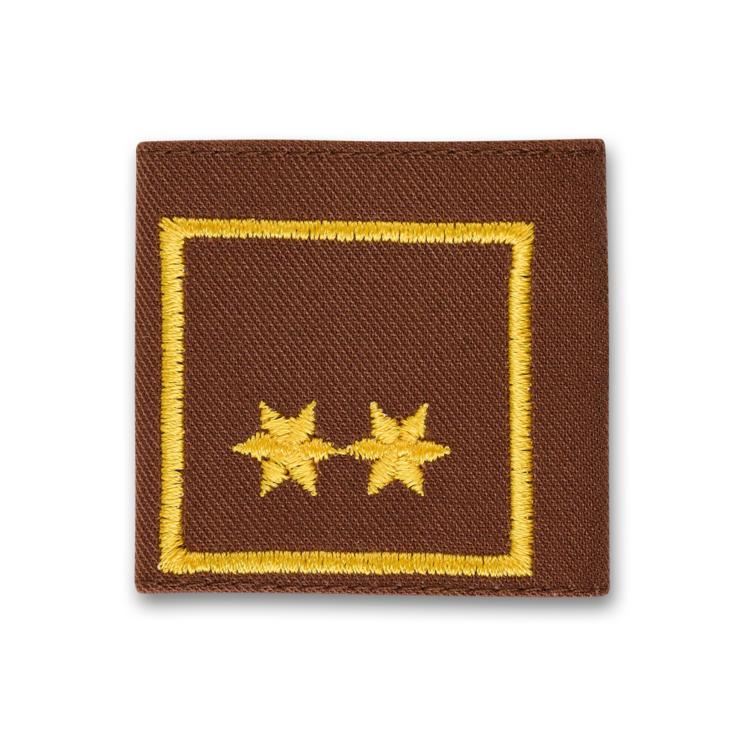Uniform epaulets OBI brown  (STM) OBI d. Fachdienst (OÖ)