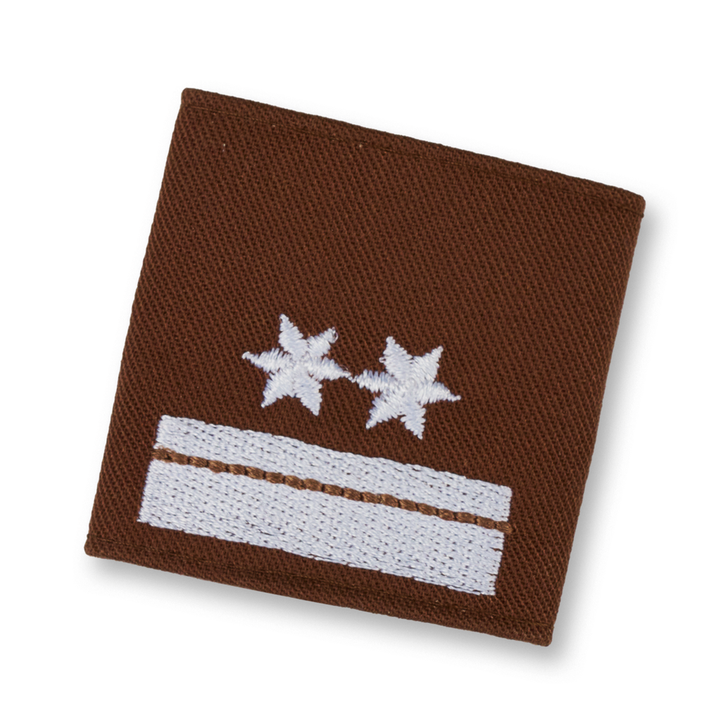 Uniform epaulets OBM brown  (STM) OBM d. Fachdienst (OÖ)