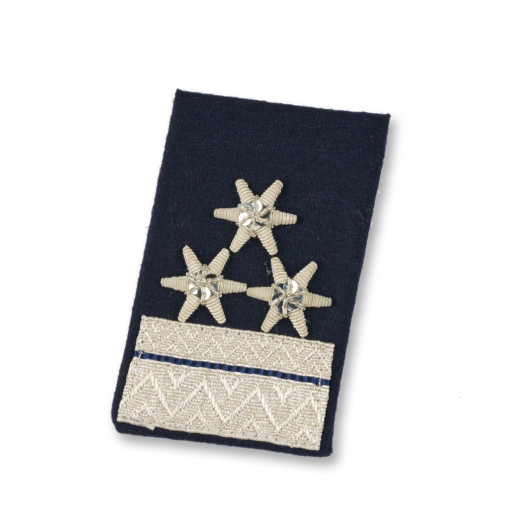 Gorget Patch HBM d. Fachdienst (OÖ) Hauptverwaltungsmeister (NÖ)