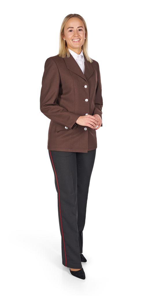 Blouse brown, Ladies wear