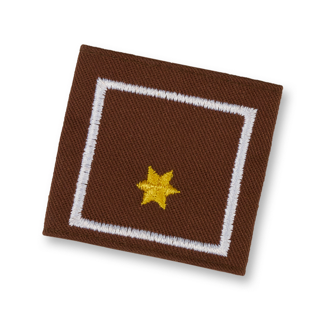 BI - außer Dienst (STMK)