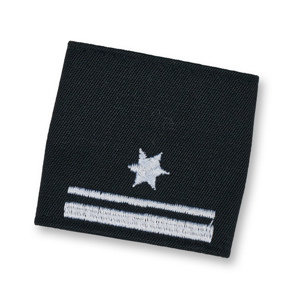 Rescue Dog Brigade Group Commander 