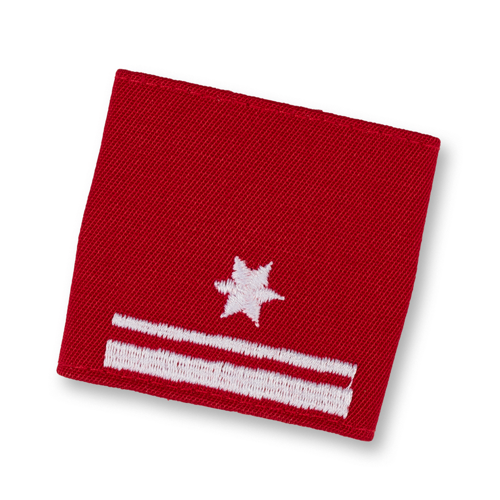 Rescue Dog Brigade Group Commander 