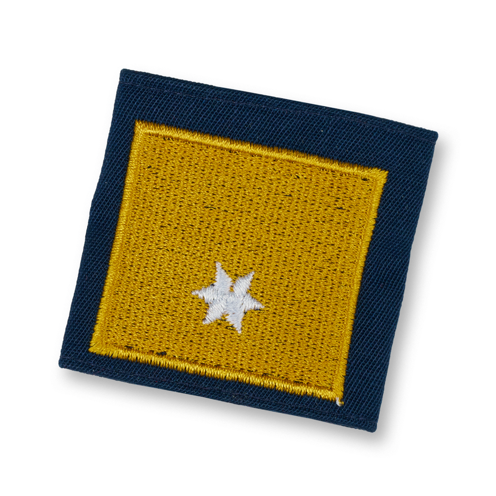 BEZ. VW-TIROL / VW INSP. NOE