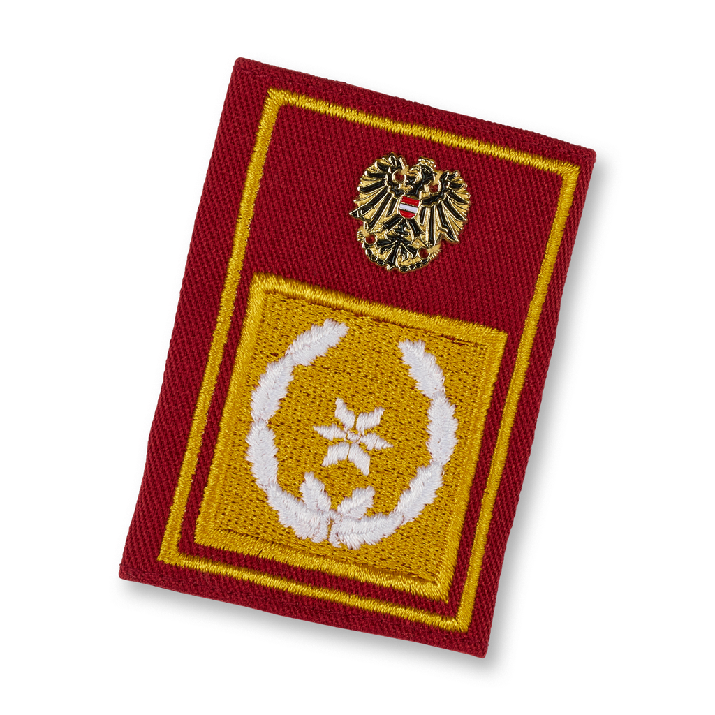 Bds. Fire department council