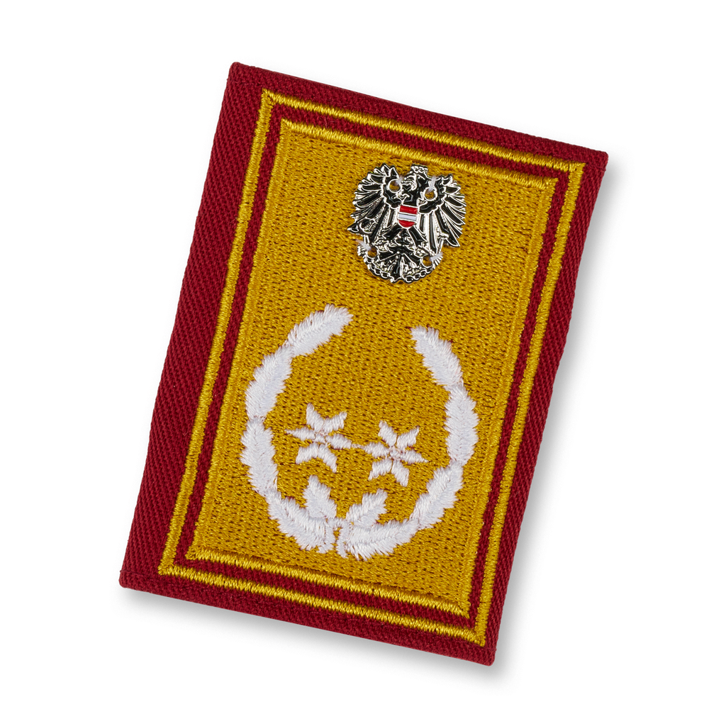 Vizepräsident d. OEBFV