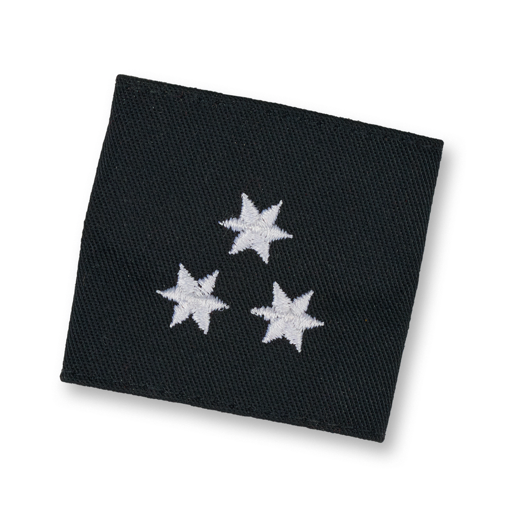 Brigade cynophile de sauvetage HF - plus de 30 interventions