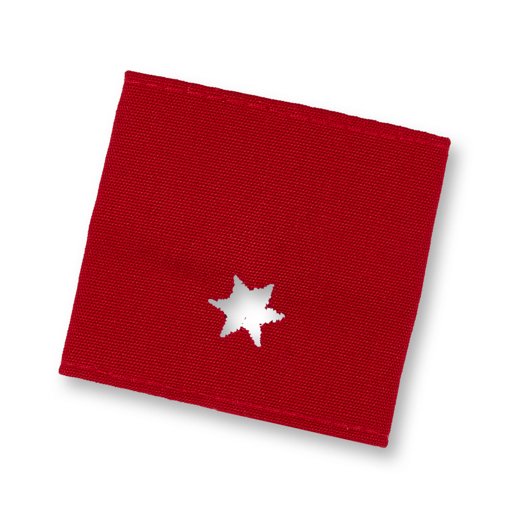 Brigade canine de sauvetage H 