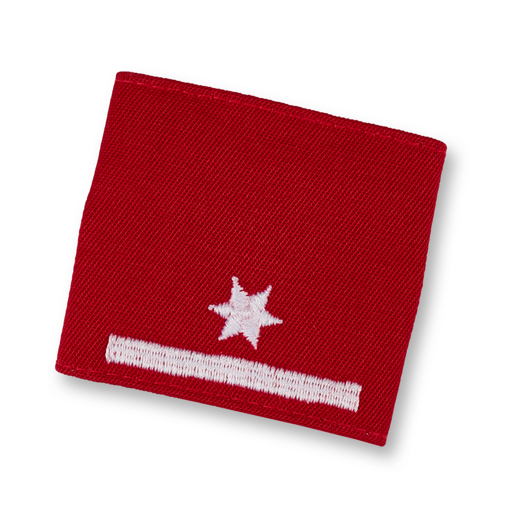 Brigade canine de sauvetage H - plus de 50 interventions