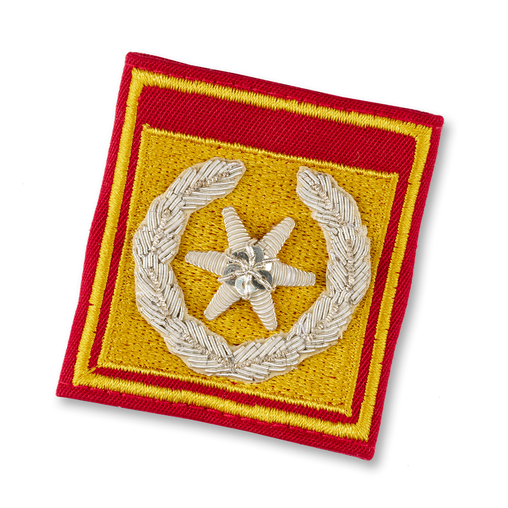 Lds. Directeur adjoint des pompiers (SBG)