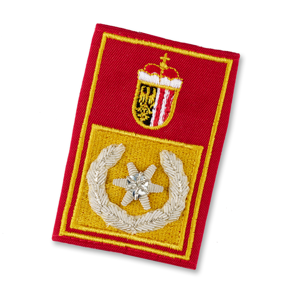 LDS. Branddirektor Stv. (OOE)