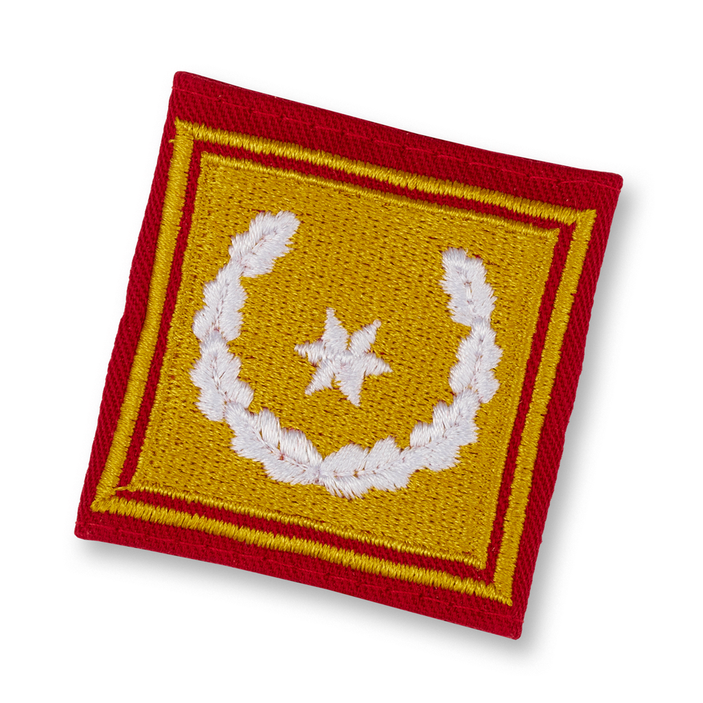 LDS. Deputy Fire Chief (BGLD)