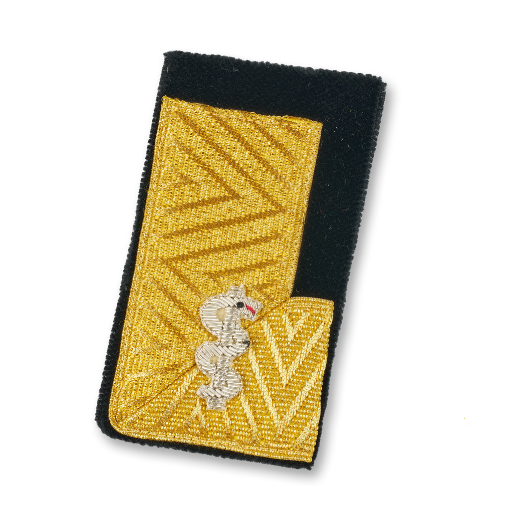 LDS. Fire department physician (KTN, SBG, T)