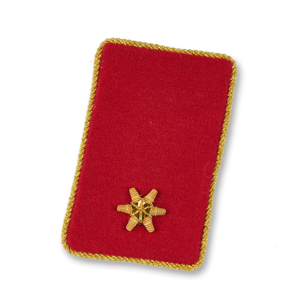 Kragenspiegel BI
