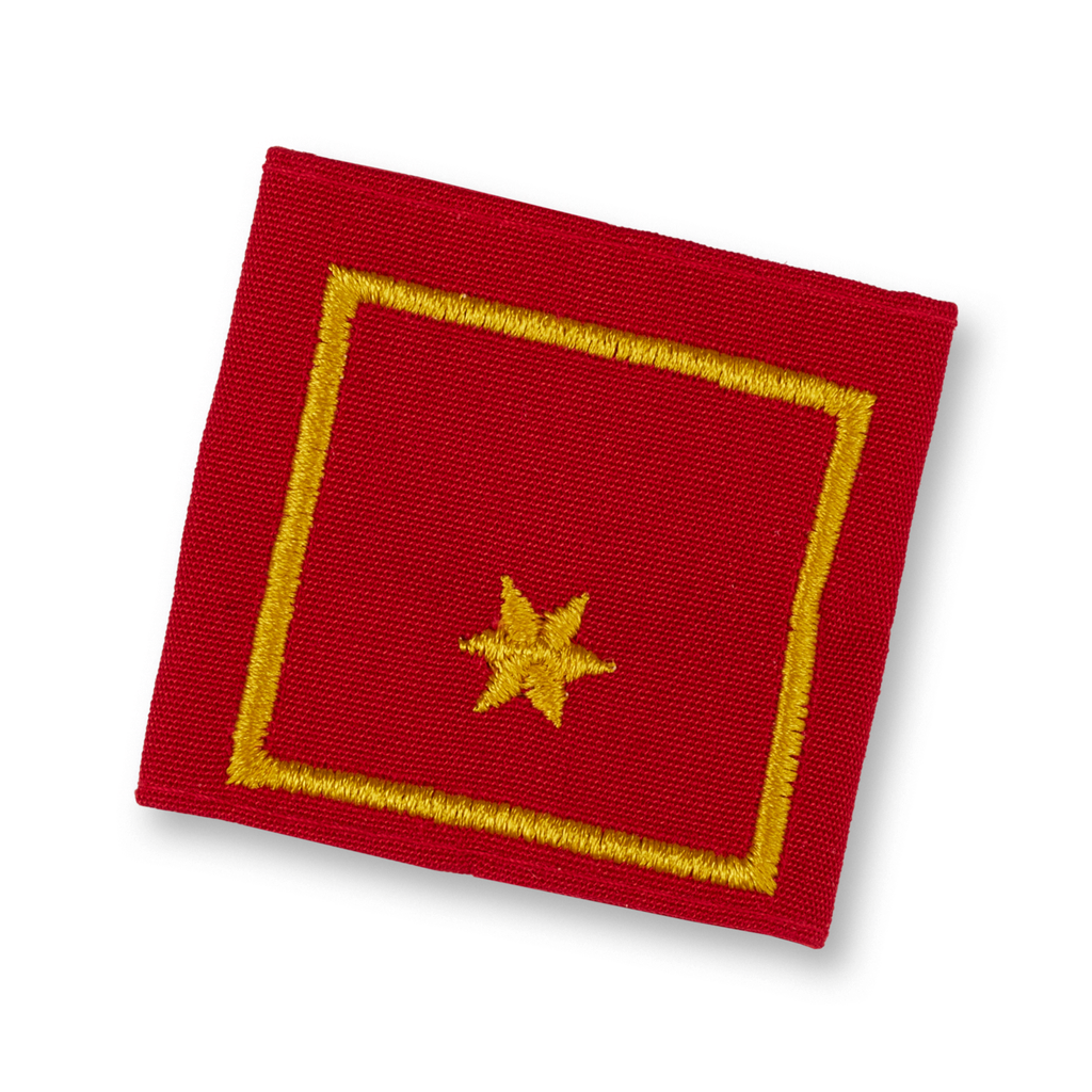 Uniform epaulets BI (NÖ, T, STMK, OÖ)