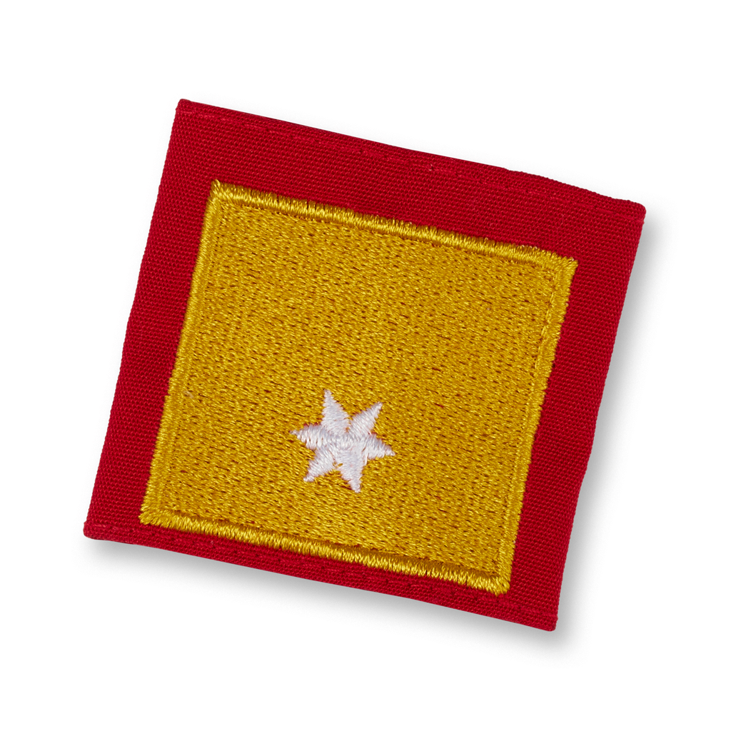 Uniform epaulets ABI (NÖ, T, STMK, SBG)