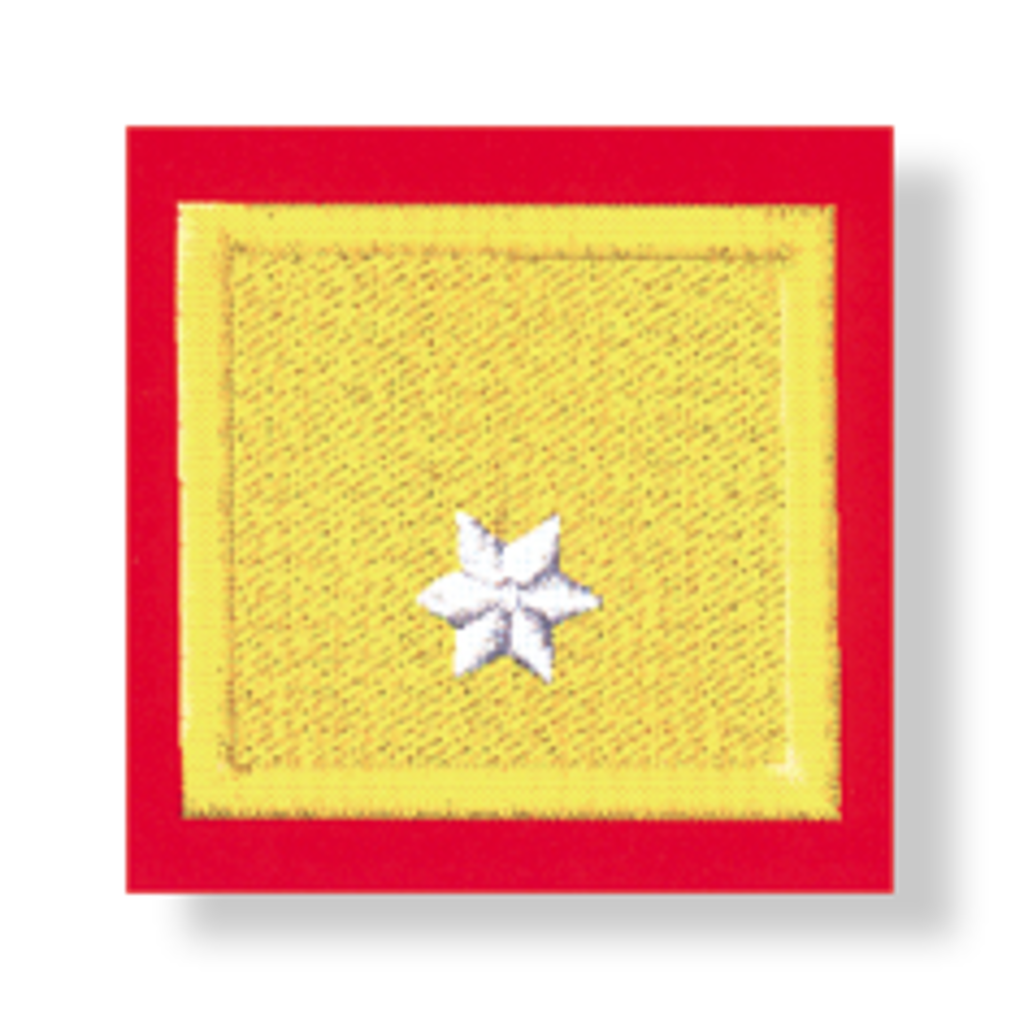 Uniform epaulets ABI (NÖ, T, STMK, SBG)
