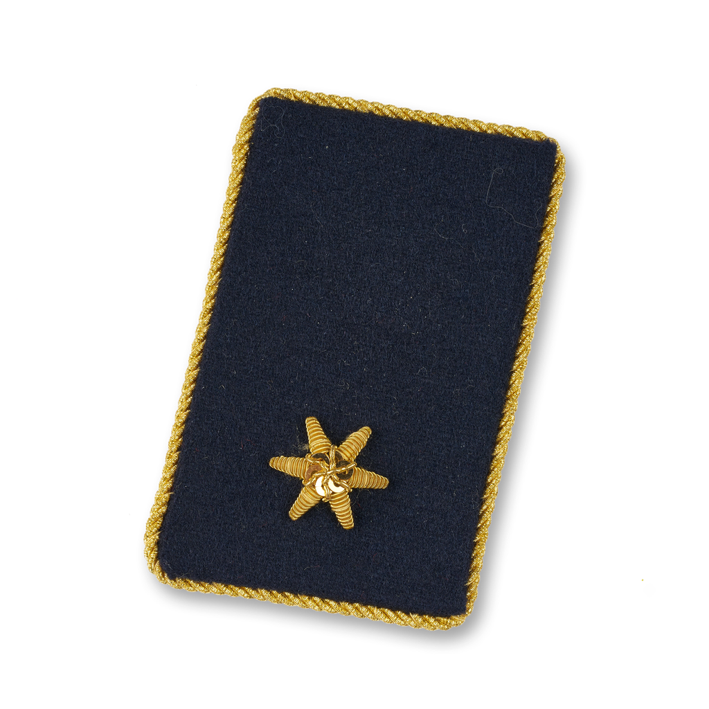 Gorget patch BI d. Fachdienst (OÖ) (VW: BGLD, NÖ) (VWI: SBG)