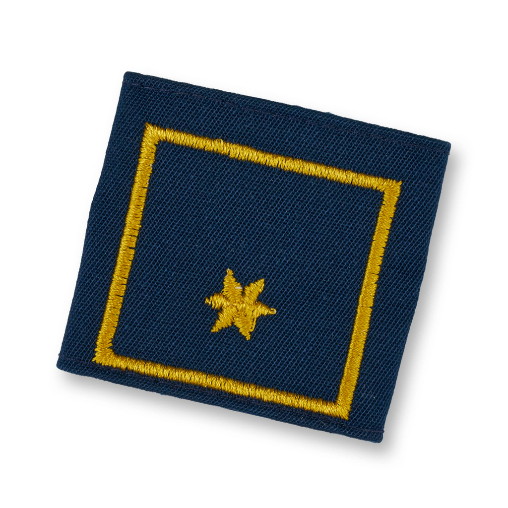 Uniform epaulets BI d. Fachdienst (OÖ) (VW: BGLD, NÖ) (VWI: SBG)