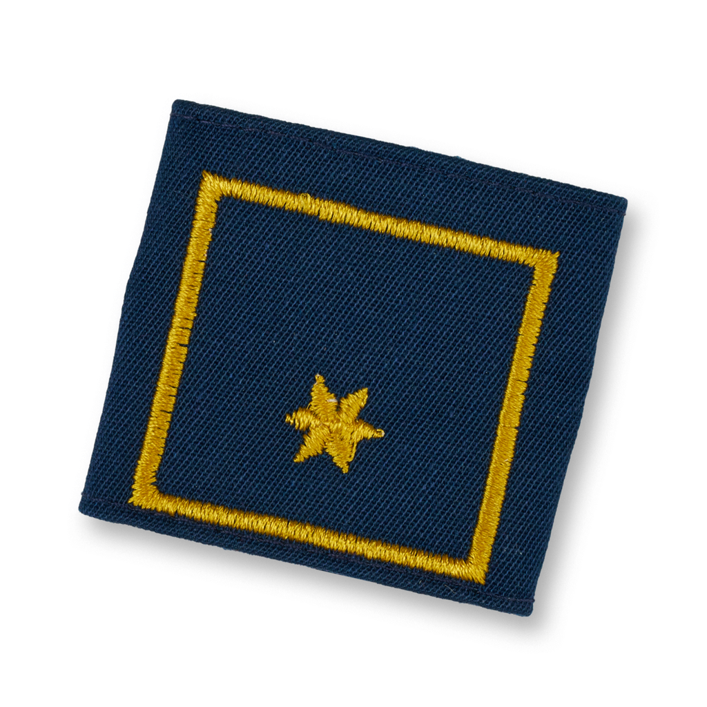 Uniform epaulets BI d. Fachdienst (OÖ) (VW: BGLD, NÖ) (VWI: SBG)