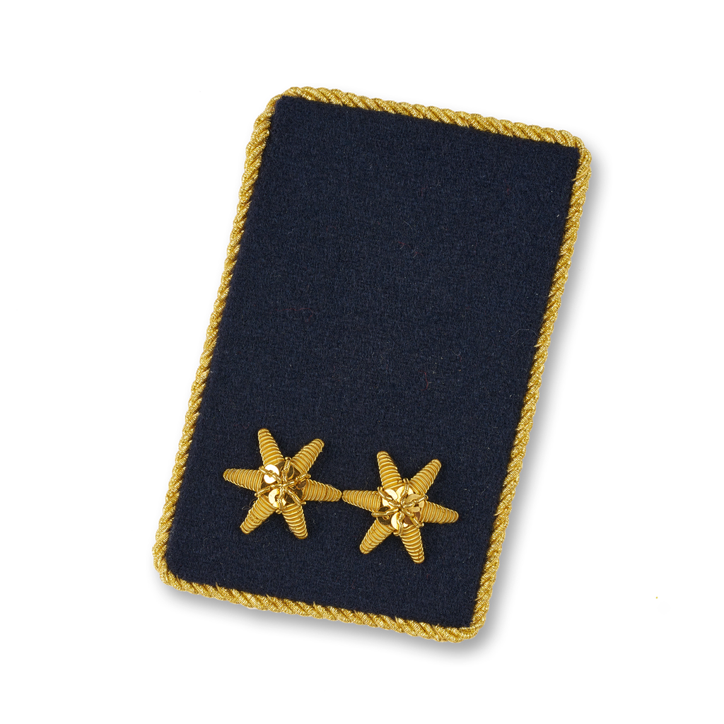 Kragenspiegel OBI. d. Fachdienst (OÖ) (OVW: NÖ, BGLD, T) (OVWI: SBG)