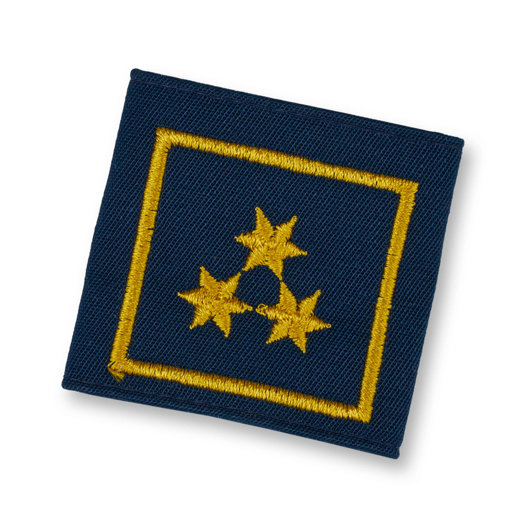 Uniform epaulets HBI D. FACHDIENST (OÖ) (HVW: NÖ, BGLD, T)