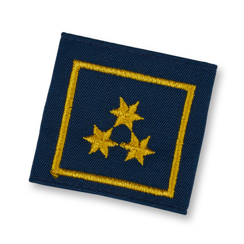 Uniform epaulets HBI D. FACHDIENST (OÖ) (HVW: NÖ, BGLD, T)