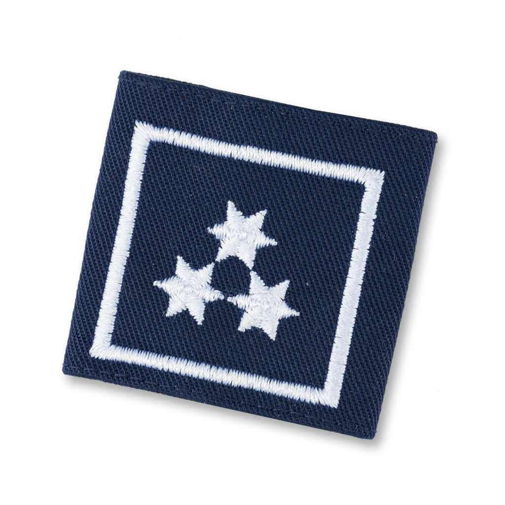 Uniform epaulets HVW (T, STMK)