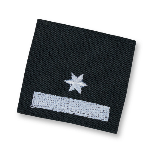[108453] Uniform epaulets LM (STMK)