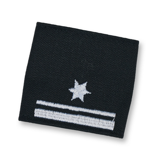 [114182] Rescue Dog Brigade Group Commander 