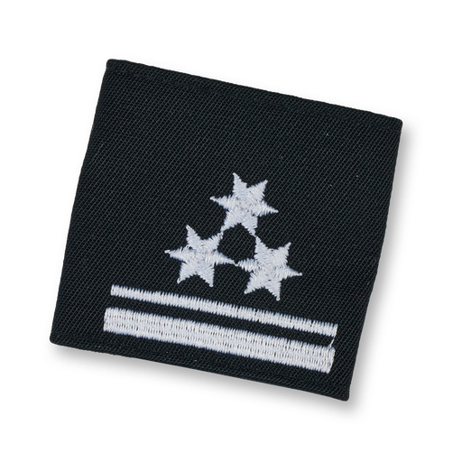 [114184] Brigade de chiens de sauvetage  GRP. KDT. ayant suivi une formation de chef d'intervention 