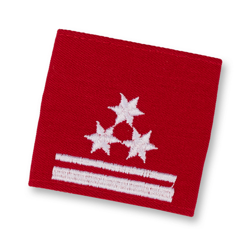 [1141841] Brigade de chiens de sauvetage  GRP. KDT. ayant suivi une formation de chef d'intervention 