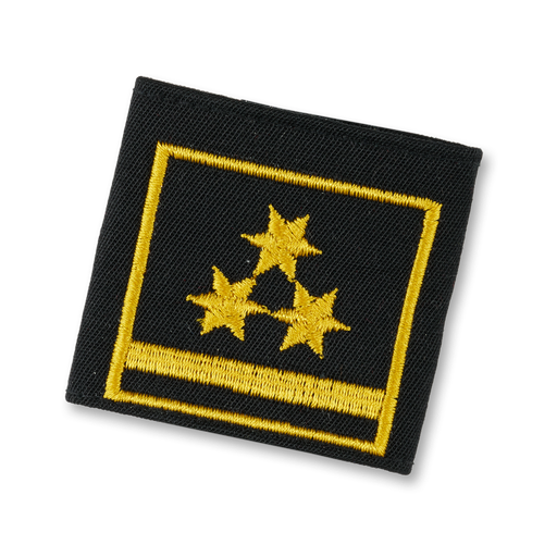 [114190] Rescue Dog Brigade  Deputy State Director
