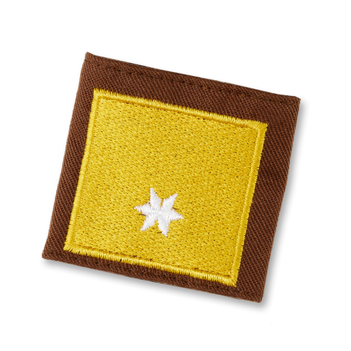 [1141910] Direction régionale de la brigade cynotechnique de sauvetage