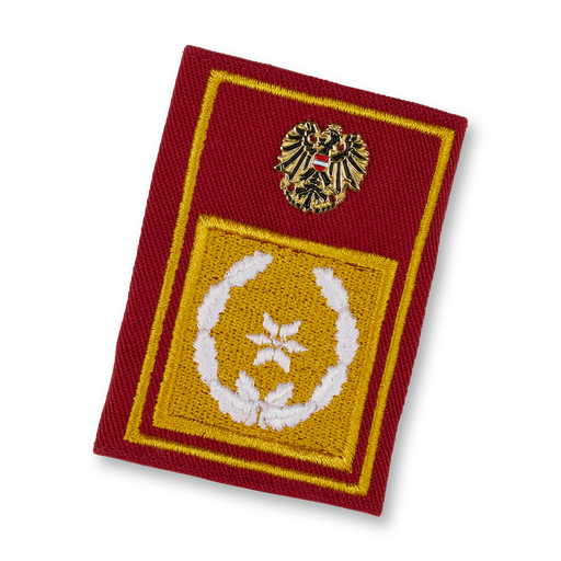 [113050] Bds. Fire department council