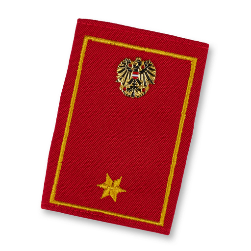 [113252] BI of the OEBFV