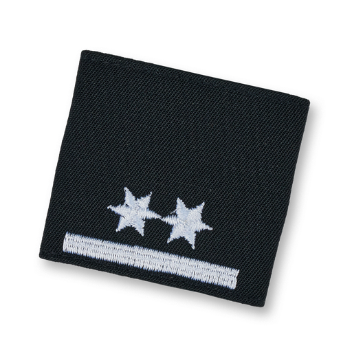 [114175] Rescue dog brigade HF with special training