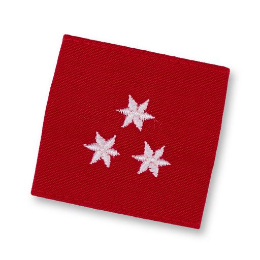 [114180] Brigade canine de sauvetage H - plus de 35 interventions