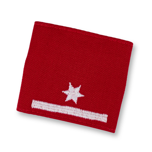 [114181] Brigade canine de sauvetage H - plus de 50 interventions