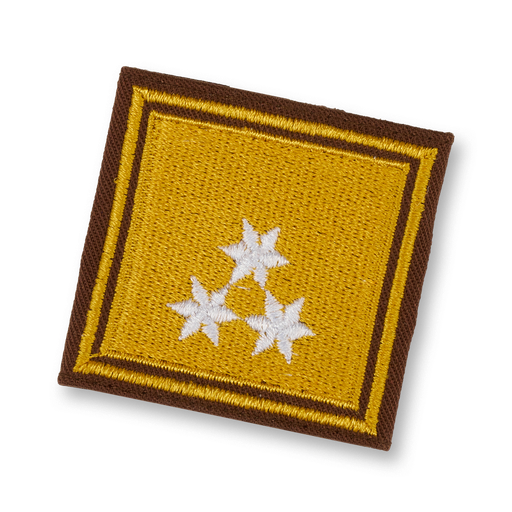 [109755] OBR du service spécialisé ( STMK)